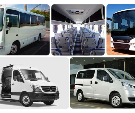Transportation Services in Doha, Qatar - 3M International